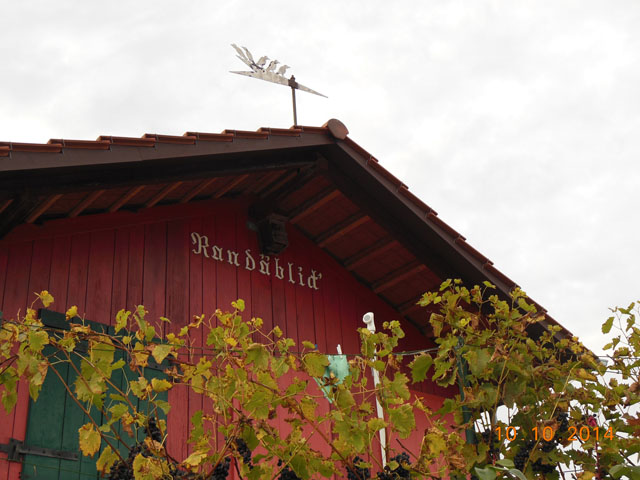 Hornissennest in Vogelnistkasten an Rebhaus