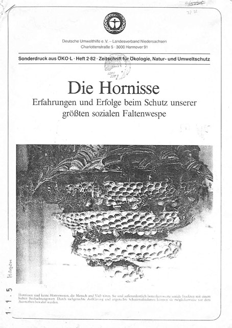 Die Hornisse; als erste Lektüre zum Wesen