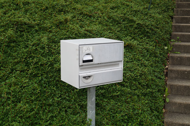 Feldwespennest in Briefkastenfach