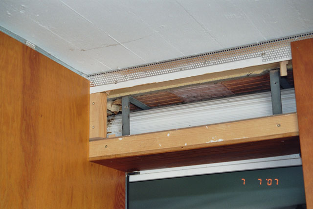 Hornissennest in Rollladenkasten