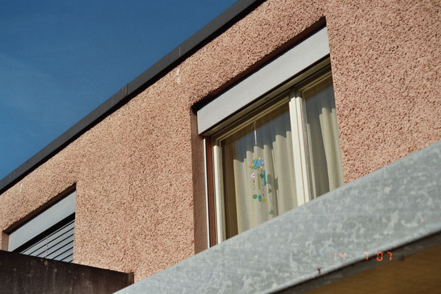 Hornissennest in Wandhohlraum