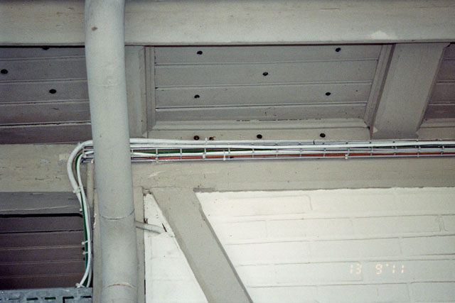 Hornissennest in Deckenhohlraum
