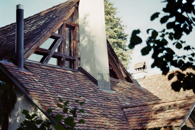 Hornissennest in Zwischendach