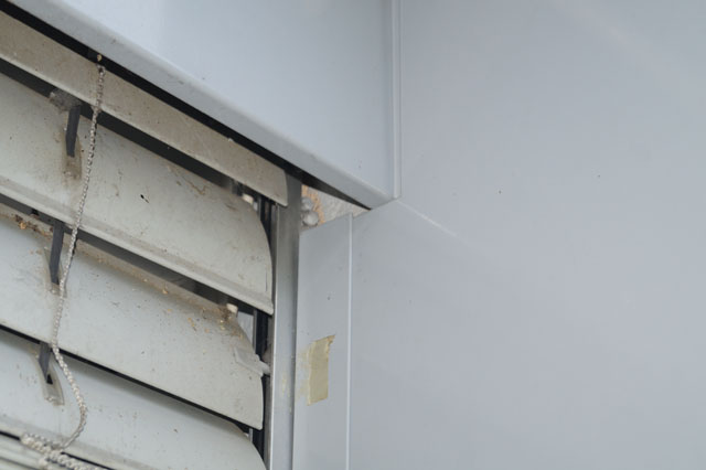 Hornissennest in Storennische