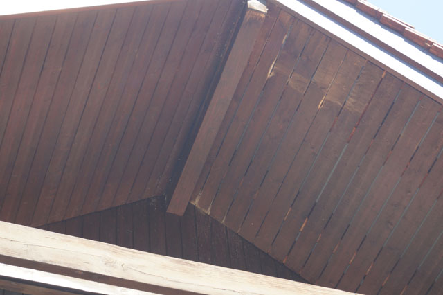 Hornissennest in Dachuntersicht