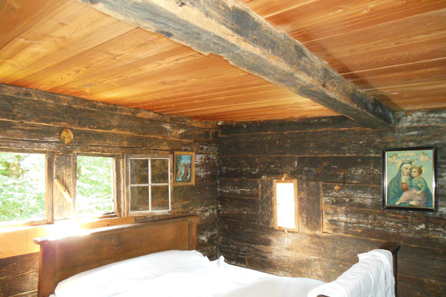 Hornissennest in Schlafzimmer