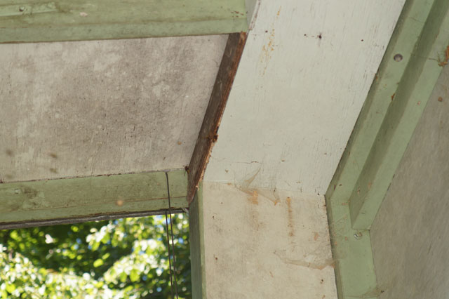 Hornissennest in Bienenhaus