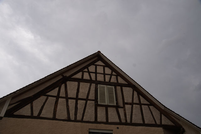 Hornissennest in Zwischendach