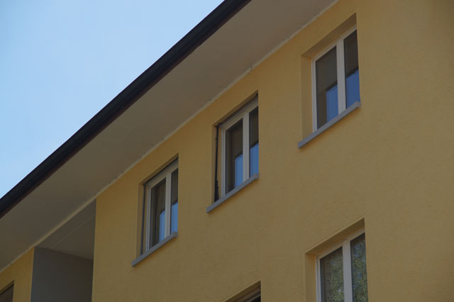 Hornissennest in Rollladenkasten