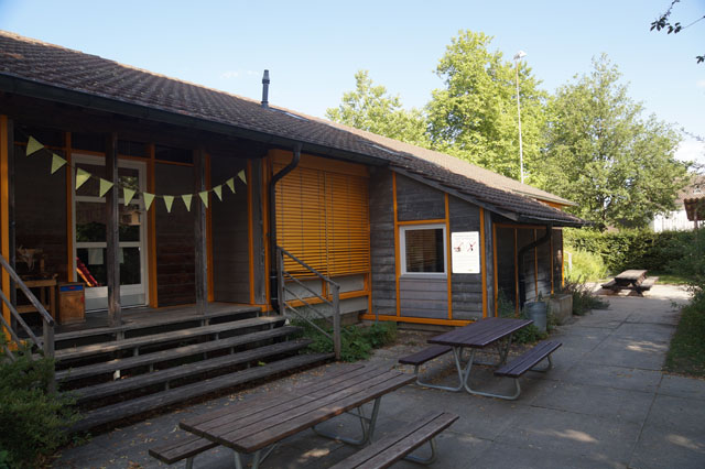 Schsische Wespen in Hornissenkasten 22