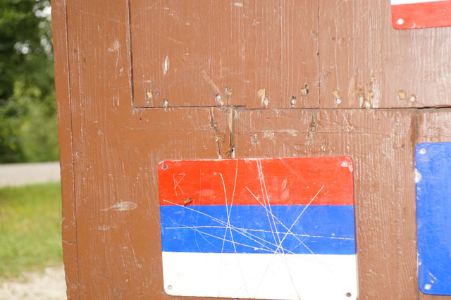 Schsische Wespen in Waldhtte