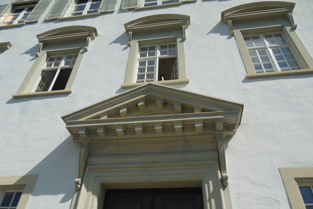  Haus-Feldwespe an Vordach